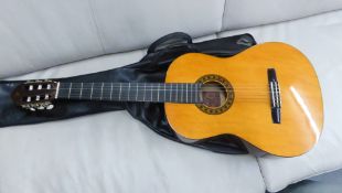 VALENCIA ACOUSTIC GUITAR IN FITTED CASE