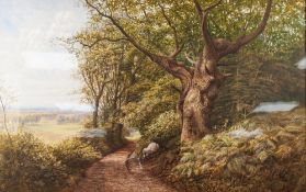 BONAMI EDWARD WARREN (fl. 1860-1872) WATERCOLOUR 'A Surrey Woodland' Signed and dated 1870 lower