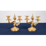 A PAIR OF NINETEENTH CENTURY FRENCH BRONZE DORE TWIN BRANCH CANDELABRA of Louis XV rococo design,