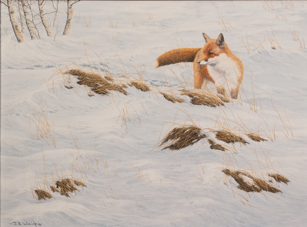 JERRY S. WAIDE (b.1948) OIL PAINTING ON BOARD 'Fox in snow' Signed 11 1/2" x 15 1/2" (29cm x 39.5cm)