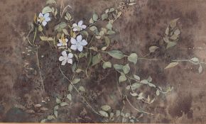 ANN MUMFORD (Modern) WATERCOLOUR 'Periwinkle - Vinca Minor' Signed lower right, labelled verso 6"