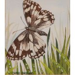 CHRIS SHIELDS (Contemporary) WATERCOLOURS, A PAIR 'Moths', each signed approx 2" square (5cm square)