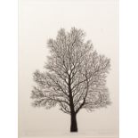 HEATHER POWER (TWENTIETH/ TWENTY FIRST CENTURY) LIMITED EDITION ARTIST SIGNED ETCHING 'Oddington