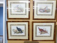 FOUR FRAMED AND GLAZED PRINTS BY JOHN GOULD, BEDLEGGED PARTRIDGE, PHEASANT, BLACK GROUSE