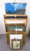 THIRTEEN FRAMED COLOUR PRINTS AND POSTERS, VARIOUS SUBJECTS AND SIZES