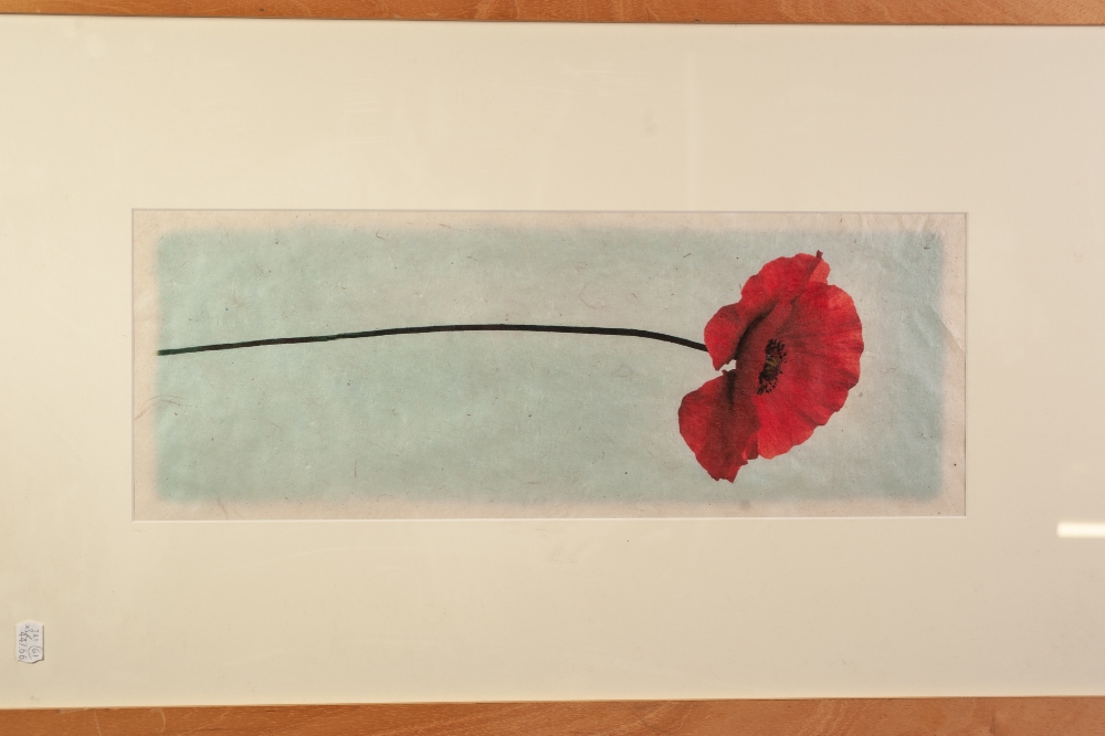 D. IRELAND (TWENTIETH/ TWENTY FIRST CENTURY) MIXED MEDIA ON PAPER Two leaves Signed 14" x 6 ½" (35. - Image 4 of 4