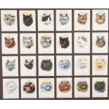 FRAMED SET OF 24 PLAYER'S CIGARETTE CARDS, 'CATS' AND A REPRODUCTION SET OF 40, 'NORTH AMERICAN