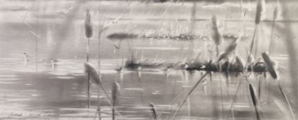 FRANCES CLUCAS GRAPHITE DRAWING 'Waters Edge 1' Signed and dated (20)05 11 1/2" x 26 3/4" (29.2 x