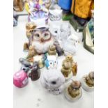 A COLLECTION OF 24 SMALL OWL ORNAMENTS, VARIOUS AND THREE TORTOISE MINIATURES