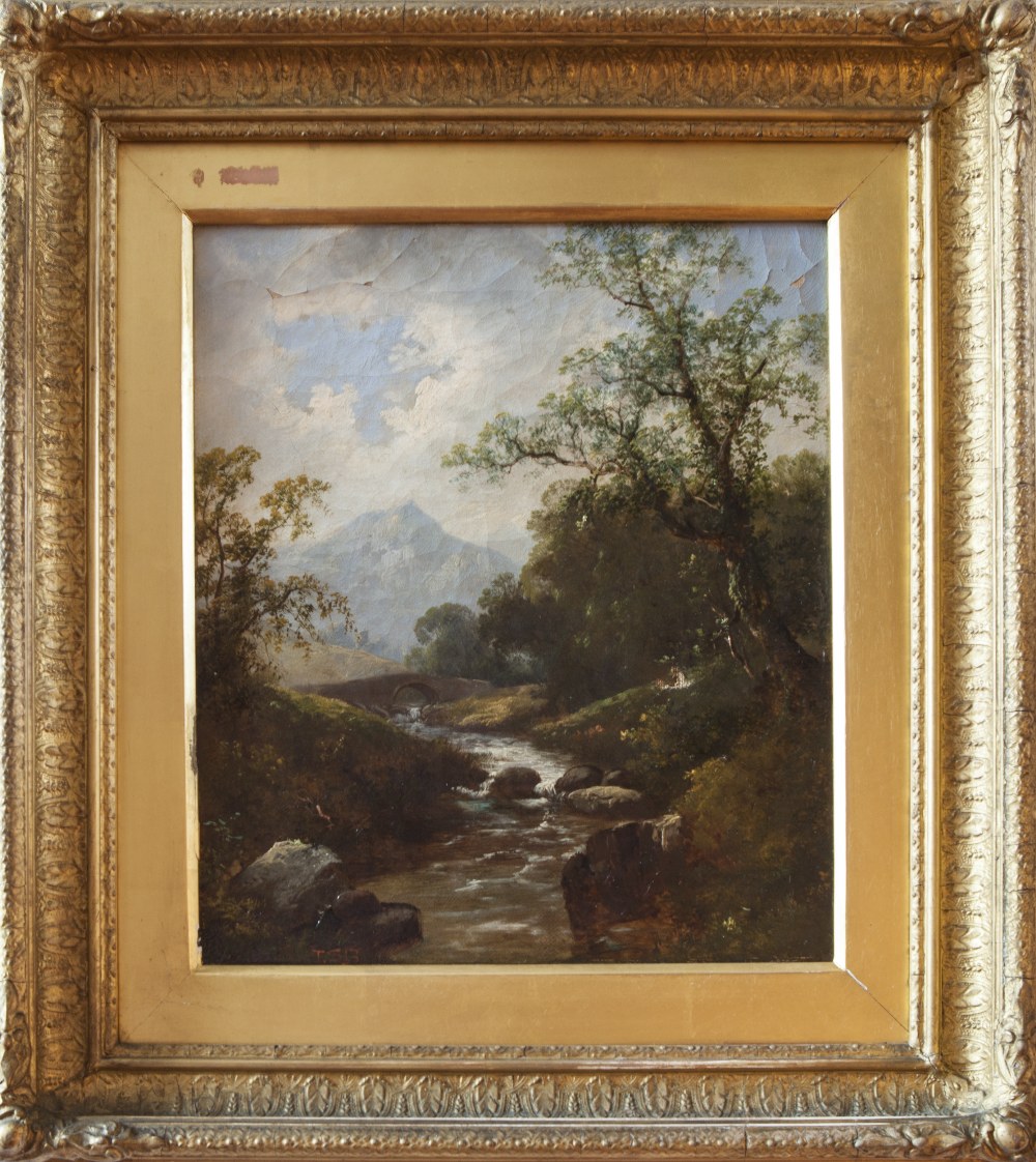 19TH CENTURY ENGLISH SCHOOL PAIR OF OIL PAINTINGS ON CANVAS 'WATERFALLS' SIGNED WITH INITIALS T.S.B.