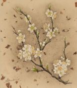 ANGELA MULLINER (Contemporary) WATERCOLOUR 'Plum Blossom' Signed 8 1/4" x 7" (21cm x 18cm) ALSO