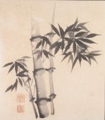 JANE EVANS INK AND WATERCOLOUR DRAWING Chinese manner 'freestyle' study of bamboo Signed and