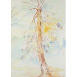 •PHILIP SUTTON (b.1928) TWO WATERCOLOUR DRAWINGS Study of trees, 22 ¼" x 16" (56.5cm x 40.7cm),