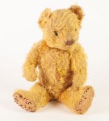 PRE-WAR GOLDEN PLUSH TEDDY BEAR, with articulated head and arms, glass eyes and stitched details,