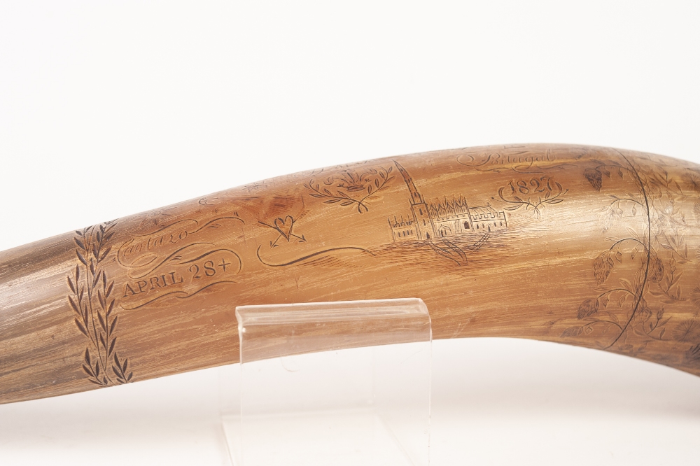 INTERESTING EARLY NINETEENTH CENTURY OXEN HORN, WITH INTRICATE INSCRIPTION AND DETAIL with flowering - Image 5 of 6