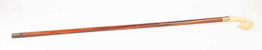 EARLY TWENTIETH CENTURY MALACCA WALKING STICK, with carved ivory crook handle and plain 9ct gold