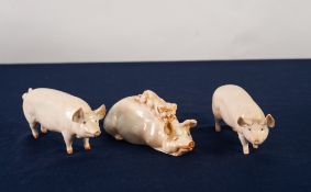 TWO BESWICK POTTERY MODEL OF CHAMPION LARGE WHITE PIGS, 'C.H. Wall Boy' and 'C.H. Wall Queen', 6"