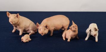 FOUR AYNSLEY BISQUE PORCELAIN MODELS, 'Piggy' modelled by John Aynsley 1975, ANOTHER 'Piglet'; a