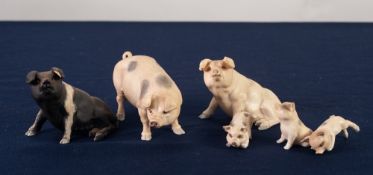 SIX COUNTRY LIFE DESIGN STUDIOS BISQUE PORCELAIN MODELS OF PIGS viz a seated British Saddleback