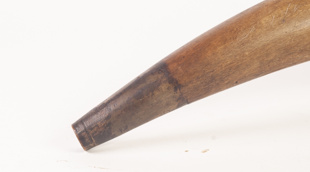 INTERESTING EARLY NINETEENTH CENTURY OXEN HORN, WITH INTRICATE INSCRIPTION AND DETAIL with flowering - Image 6 of 6