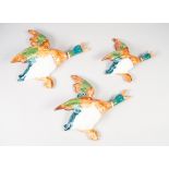 A SET OF THREE BESWICK WALL MOUNTED 'FLYING MALLARD DUCKS' numbered 596 (1-3)