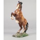 BESWICK MODEL OF A REARING BROWN HORSE, WITH BLACK MANE AND TAIL, 10 1/2" HIGH