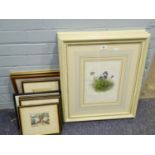THREE FRAMED BOTANICAL LITHOGRAPHIC PRINTS. TOGETHER WITH TEN VARIOUS FACSIMILE OLD MASTER DRAWINGS,