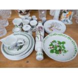 SELECTION OF PORTMIERION 'THE BOTANIC GARDNER' CERAMICS VIZ PLATES, CUPS AND A PORTMERION 'SUMMER