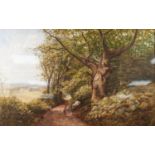 BONAMI EDWARD WARREN (fl. 1860-1872) WATERCOLOUR 'A Surrey Woodland' Signed and dated 1870 lower