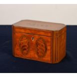 A GOOD GEORGE III SATINWOOD, CROSSBANDED AND SHELL ELLIPSE INLAID CANTED-OBLONG TEA CADDY, the