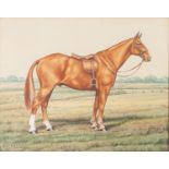 KATHERINE C. BROWN WATERCOLOURS, A PAIR Horse portraits, names respectively 'Silver' and 'Sandy'