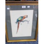 THREE HAND COLOURED BIRD PRINTS (3)