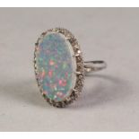 18ct WHITE GOLD, OPAL AND DIAMOND OVAL CLUSTER RING, claw set with a large oval opal doublet over