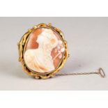 EARLY VICTORIAN ROLLED GOLD FRAMED CARVED OVAL SHELL CAMEO BROOCH depicting a classical female head,
