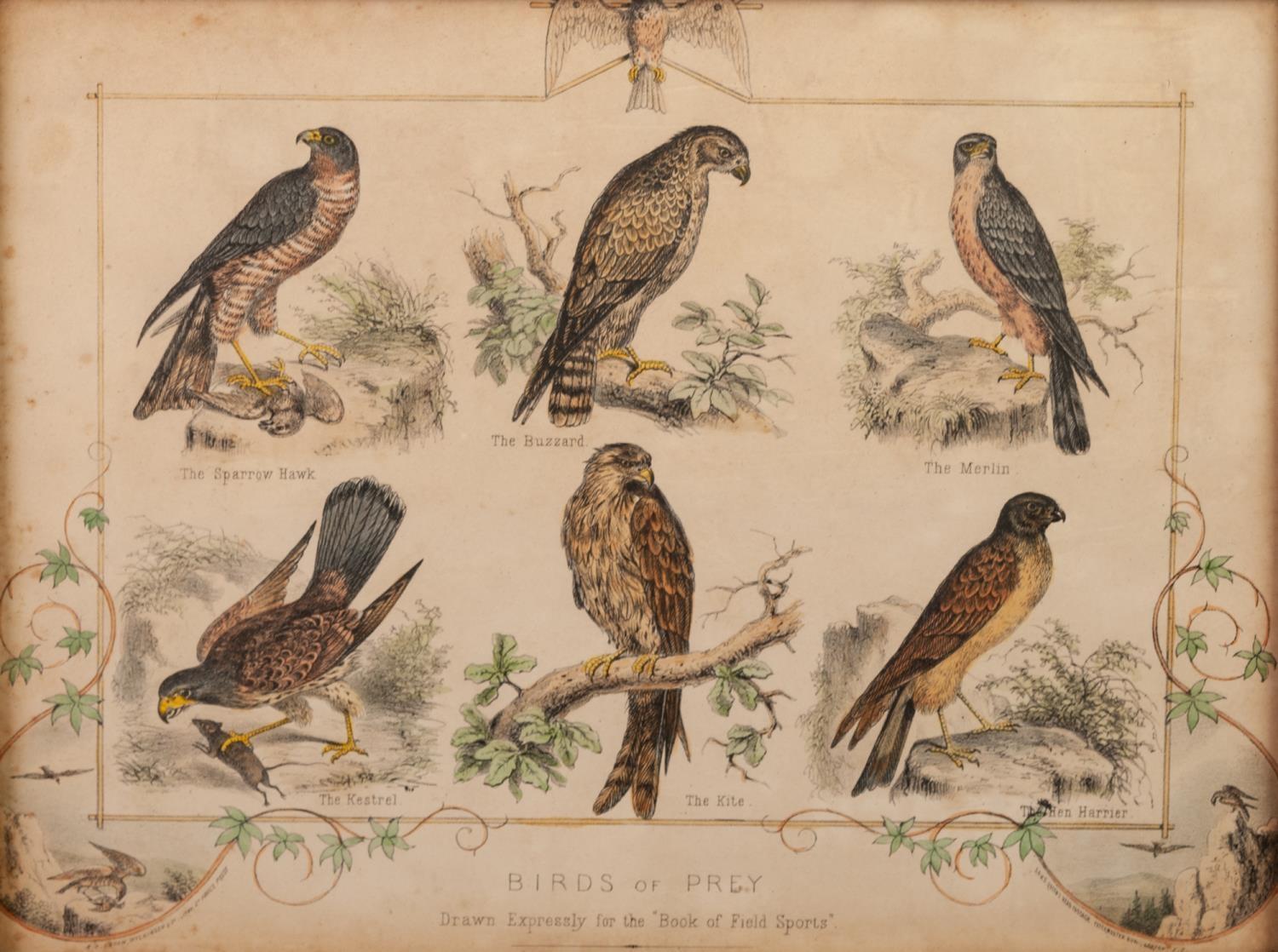 FROM THE ?BOOK OF FIELD SPORTS? THREE LATE NINETEENTH CENTURY COLOURED LITHOGRAPHS ?A Sharp Look- - Image 2 of 3