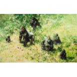 DAVID SHEPHERD ARTIST SIGNED LIMITED EDITION COLOUR PRINT 'Lowland Gorillas' Numbered 34/350 14" x