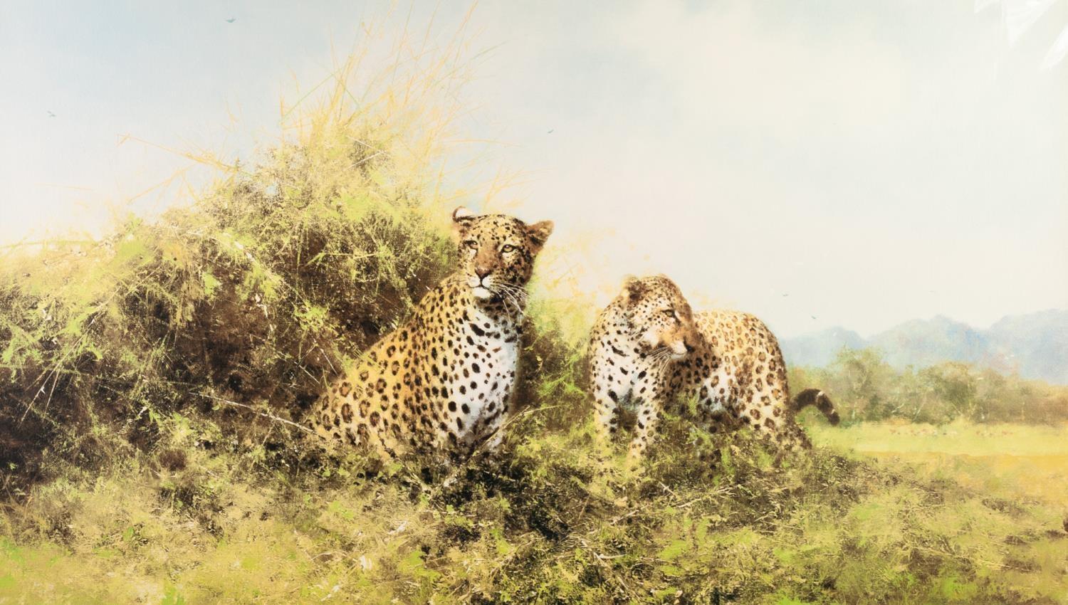 DAVID SHEPHERD ARTIST SIGNED COLOUR PRINT 'Leopards' Artist's proof numbered VII/XX 16" x 28" (40.