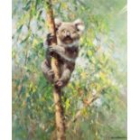 DAVID SHEPHERD ARTIST SIGNED LIMITED EDITION COLOUR PRINT 'Koala' Numbered 795/975 19" x 15 3/4" (48