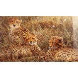 ALAN HUNT A SUITE OF TWELVE MOUNTED BUT UNFRAMED ARTIST SIGNED LIMITED EDITION COLOUR WILD-LIFE