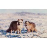 DAVID SHEPHERD ARTIST SIGNED LIMITED EDITION COLOUR PRINT 'Arctic Foxes', numbered 652/1500 8 3/4" x