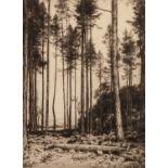 GEORGE PERCIVAL GASKELL ARTIST SIGNED ETCHING Clearing in pine trees 9? x 6 ½? (22.8cm x 16.5cm)