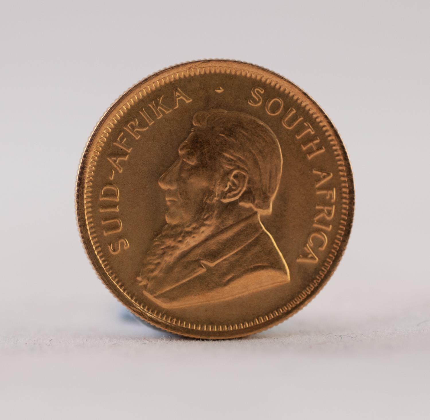SOUTH AFRICAN 1982 1/4 KRUGERRAND gold coin, 8.5gms (EF) - Image 2 of 2