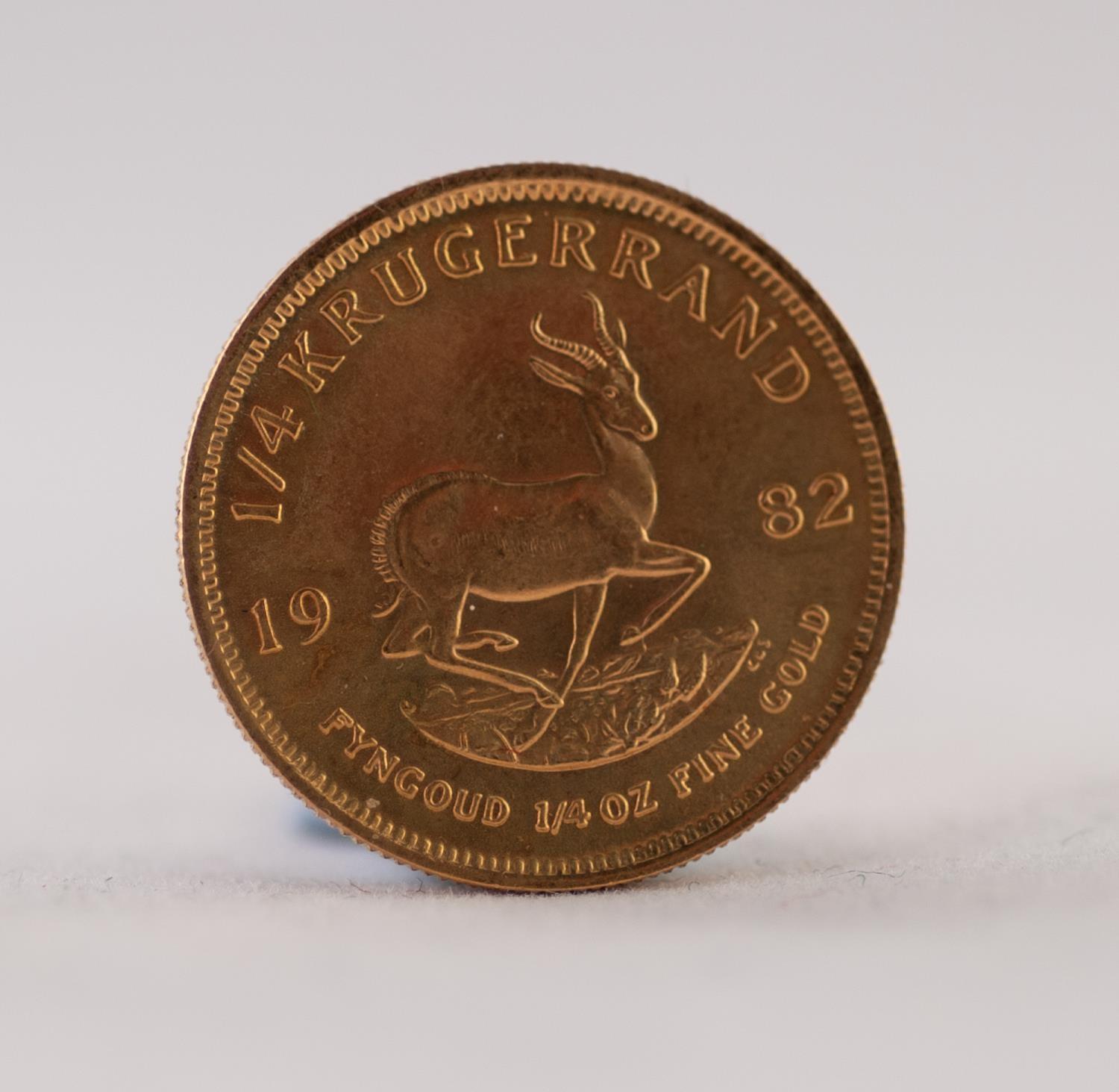 SOUTH AFRICAN 1982 1/4 KRUGERRAND gold coin, 8.5gms (EF)