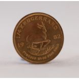 SOUTH AFRICAN 1982 1/4 KRUGERRAND gold coin, 8.5gms (EF)