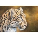 KIM THOMPSON (1963) ACRYLIC ON BOARD 'Beauty - Leopard portrait' Signed lower right 7 1/2" x 11" (19