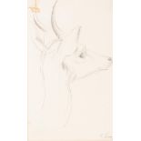 EMMANUEL LEVY (1900 - 1986) PENCIL DRAWING Head of an antelope Signed lower right 7" x 4" (18 x