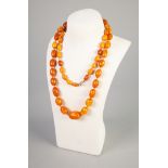 GRADUATED AMBER BEAD NECKLACE, of oval beads knotted to a jump ring clasp, length 93cm, 54.47g