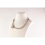 SILVER DOUBLE ALBERT with graduated curb pattern links, two metal clips, silver guard and