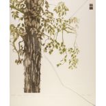 TESSA BEAVER SIGNED LIMITED EDITION COLOUR PRINT ON EMBOSSED PAPER SPRING SHAGBARK HICKORY (20/