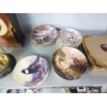 EIGHT ROYAL DOULTON COLLECTORS PLATES OF BRITISH BIRDS, FIVE WEDGWOOD COLLECTORS PLATES COUNTRY